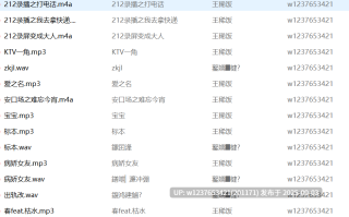 王稀饭中文音声合集【3.63G】