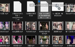 明星/网红AI脱衣系列：脱衣裸舞小合集（画质增强版）【51V-398M】