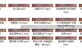 暴躁啊御中文音声合集【300M】