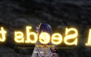 kotero]雷电将军8月作[1.45G/度盘]