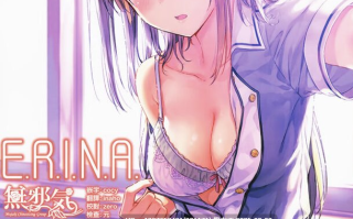 [HitenKei(Hiten)] 本子X19/画集X28/游戏CGX2/小说X18/Fanbox24.08.11/推特24.09.03【14.4G】