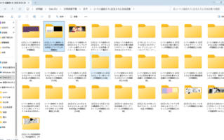 ハウス栽培もち (白玉もち)] 汉化合集 (28本 3.06G）