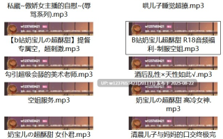 B站奶宝儿中文音声合集【372MB】
