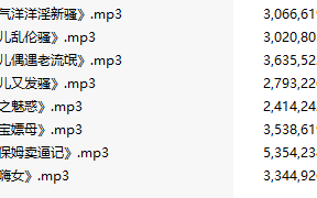 【激情骚麦/8部合一】【MP3版】【中文】【088-095】