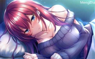 PC/ADV/年下彼女  汉化版