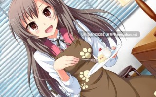 #命运预报现正发布 #運命予報をお知らせします 中文汉化版 