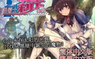 [精品ACT大作汉化]圣骑士莉卡物语白翼与银翼的姐妹聖騎士リッカの物語 白翼と淫翼の姉妹 V1.3.6 官方中文版[电脑4.21G￼￼