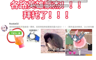 【SLG/汉化/动态/PC】泳装之国的爱丽丝 AI汉化版 25.10.12更新【2.12 G】