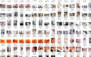 推特人气反差婊，【知一妹妹】