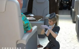 【3D/全彩/无修】航班1-3【379P+220M】 [2+220m][百度盘]