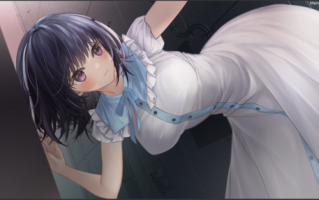 【养成SLG/PC】魅魔莉莉姆想要升级♥ 官中步兵