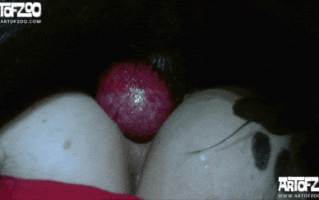 [兽X][Lise]Irresistible Lise