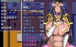 [RPG汉化PC母狗] [FGO同人] 骚妈召唤 命运交叉 [集中力ゴミ糞丸] Fate Grand mamma Ver100+存档[2.84G][萌站植入]