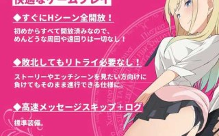 PC/RPG/ギャル×魔法少女 マリナ ～変身ヒロイン奉仕・拘束・敗北RPG 汉化版【2024年12月21日0点 发售】