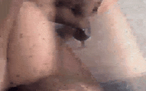 3【COSPLAY带视频】[微密圈]陈佩奇 – 资源合集[59V1005P]