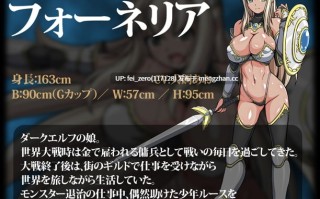 【PC/RPG/官中】RJ173356 暗精灵编年史 Dark Elf [ONEONE1]