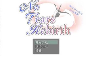 PC/[绿帽RPG/汉化] 无泪重生 NoTearsRebirth V2.01 PC+汉化版