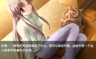 [ADV/汉化] 茶色的主题~Canvas~セピア色のモチーフ～AI汉化版电脑 [500M]