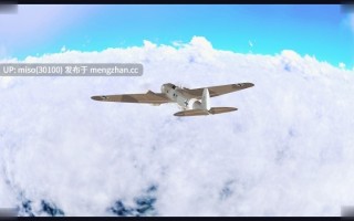 15.双胞胎空姐+剖