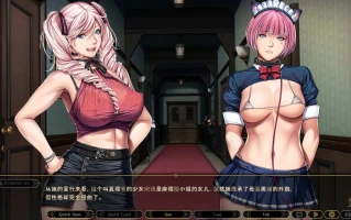 【日式ADVAI汉化圣少女】SLEEPLESS～不眠之夜 SLEEPLESS～不眠之夜 AI汉化版+全CG存档【2G全CV】