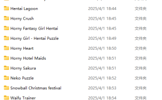【PC/合集/SLG/拼图/肉鸽】Horny69Team 13个游戏合集【共6GB】【官方中文】