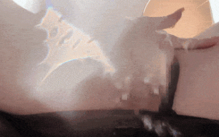 甘雨ラン【顔面騎乗位で潮吹き】他の女でヌくなんて許せない！嫉妬と独占欲が大爆発なのじゃ！🐼愛さえあればランの愛液を顔面で受け止めるなんて簡単でしょ…？🔪💕