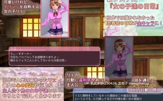 17[SLG生肉] そうだ売春経営しようVer.2.45 生肉版 [765M]