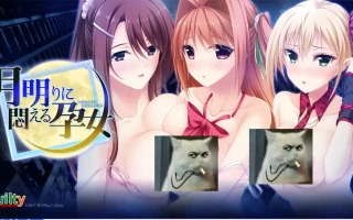  新汉化[日式ADV] 在月光下苦闷的孕女 月明りに悶える孕女 AI汉化版 [1.10G]