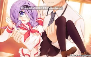 【ADV/PC/存档】航迹云的彼方/ひこうき雲の向こう側 V14.03.28