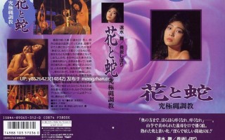 考古系列5   1987 花と蛇 究極縄調教 （捆绑系）