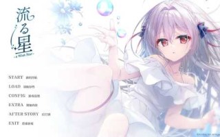 ADV PC 流星 -a wish star- 1.8G
