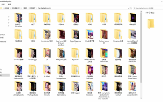 视频推荐，自己去找作者，中英文名字都告诉你了