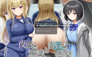 30[RPGAI汉化] 夜晚的叹息与白昼的苦闷 夜頃の溜息と白昼の苦悶 [PC263M]