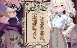 新作【日式SLG】懵懂无知的大小姐 このお嬢様、無知につき AI汉化版 [1.10G]