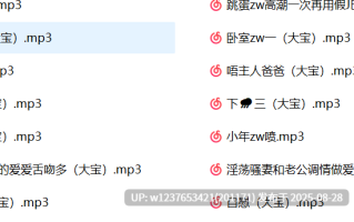 大宝中文音声合集【787M】
