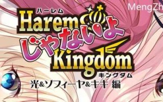 后宫王国(HaremKingdomFD) AI精翻汉化版 ADV游戏&SMEE 2.1G