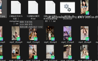 顶级颜值混血女神【chaeira】小清新呆呆的，沦为财阀肉便器，真正的穷人女神，富人母狗【19v828M】