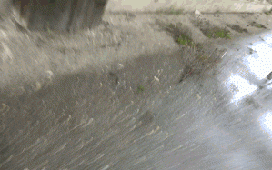 在野外被野生小丑抓住监禁并进行强行灌注（1V+2.3G）（百度）