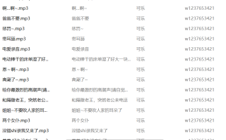 可乐中文音声合集【286M】