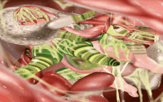 75.[八郎ビレッジ (村八郎)] ※蟲注意※ モカの巣[视频75]