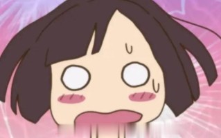 [ADV生肉PC动态雌小鬼][ヴィンセント]アキバDEメスガキ[1.43G]D