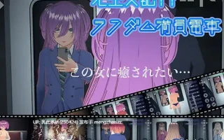 20[3DSLG动态官中]【新作】完全支配！ランダム満員電車 [PC+VR3.45G]