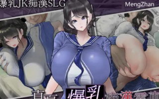 PC-新作【爆乳JK/电车偷摸】真夏的爆乳痴汉电车V1.0 AI汉化 [1+1.20G][百度盘]