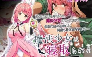 魔法少女は寝取られる