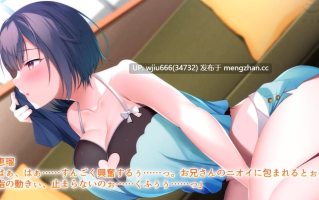 【同人动画】お姉ちゃんの代わりに抜いてあげます～彼女の妹は、仕方ないからと絶対にヤらせてくれる～