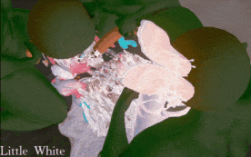 【4K/无修】新作-哥布林x风堇🥵🥵😍😍-4K