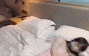 晚上老婆睡着去看醉酒小姨子发现小姨子露着奶子正在睡觉没忍住上去猥亵她不仅没生气还帮我打飞机