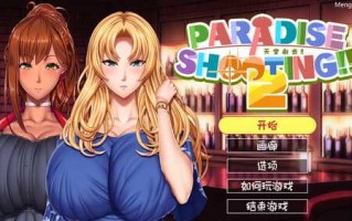 PC/SLG射击游戏/#天堂射击 ２/Steam官方中文