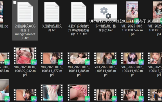 【推特】可爱COS福利姬【电擎萌王】 金主线下拍摄步兵作品合集 [70V] 【2.9G】