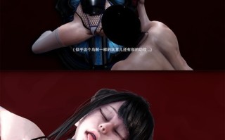 虫洞盾使用报告01-07